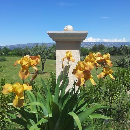 Lamanderie En Provence Bed and Breakfast Alleins Exterior foto